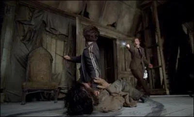 Quel est le sort jeté pas Remus Lupin le loup-garou ?