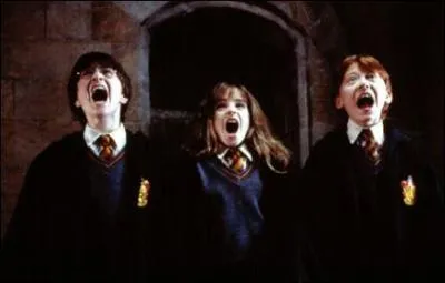 Pourquoi Hermione Harry et Ron ont-ils peur ?