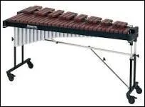 Quel est l'instrument sur cette image ?