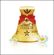 Comment appelle-t-on ceci ?