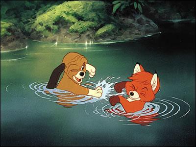 Cette image est tirée du dessin animé "Rox et Rouky", qu'y vois-tu ?