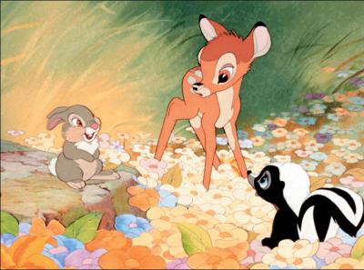 C'est une photo tirée du dessin animé "Bambi", qu'y vois-tu ?