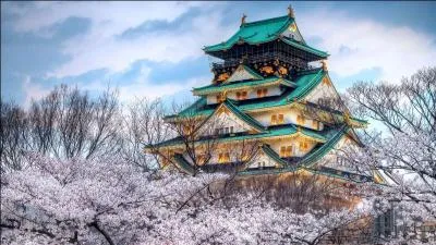 Dans ce pays, cette floraison est très attendue, et personnifie, malgré les apparences, un esprit guerrier !