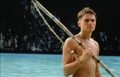 De quel film avec Leonardo DiCaprio est tirée cette image ?