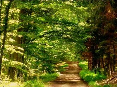 Il fait drôlement beau aujourd'hui ! Qui est partant pour une...