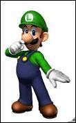 Ce personnage est le frère de Mario. Qui est-ce ?