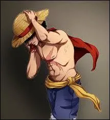 Luffy est à la recherche du One Piece.