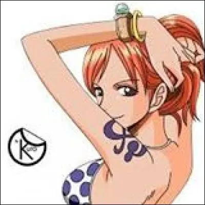 Que déteste le plus au monde Nami ?