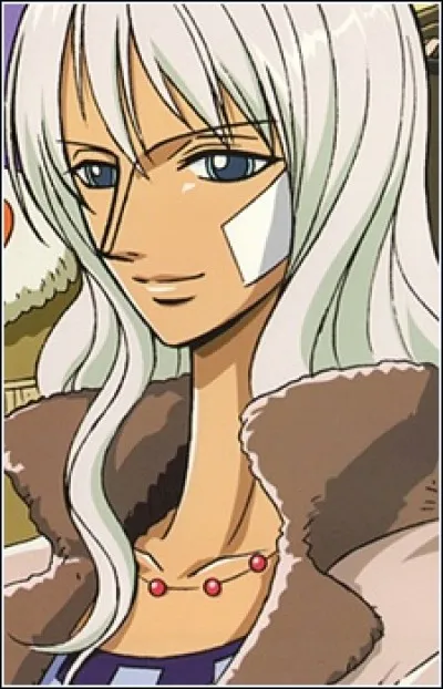 Quel est le nom de la mère de Nico Robin ?