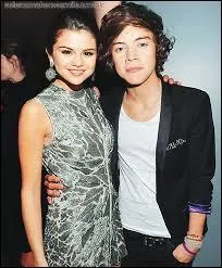 Selena Gomez et Harry Style sont-ils déjà sortis ensemble ?