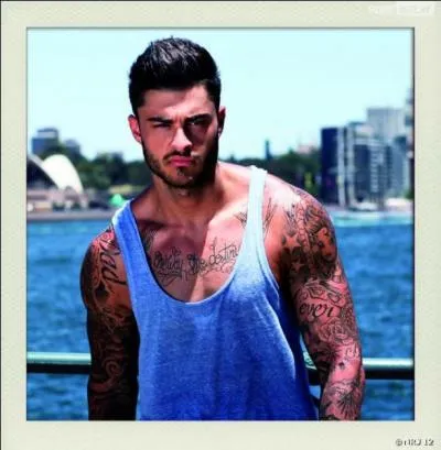 Quel est l'objectif professionnel de Thibaut ?