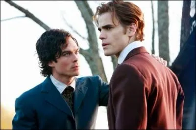 Les frères Salvatore ont combien ...communs ?