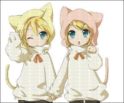 Rin et Len sont les :