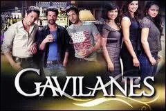  Gavilanes  est une telenovela colombienne. Dsol mais comme les telenovelas ne sont pas mon point fort, point de synopsis pour cette question. 
Quelle chane diffuse cette srie ?