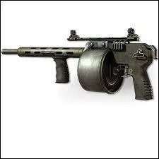 Quelle est cette arme ?