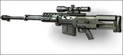 Quelle est cette arme ?