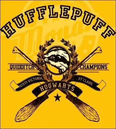 Aprs de longues tergiversations, Dennis Crivey fut finalement envoy  Poufsouffle. Choixpeau bas !