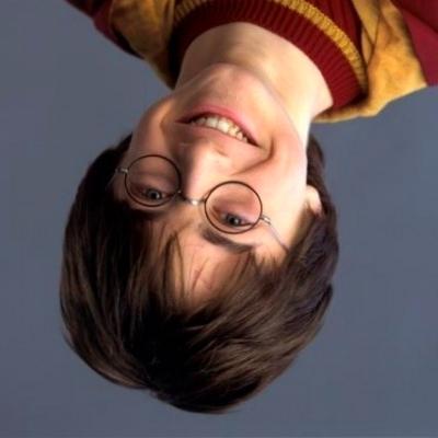 L'anti vrai/faux : Harry Potter