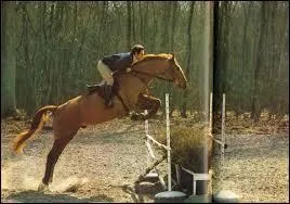 Quel est le nom de cet obstacle ?