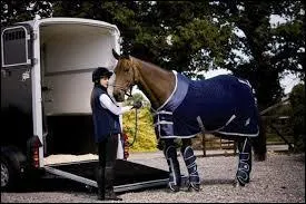 Quelle protection pour le transport n'existe pas ?