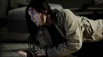 De quel film avec Jessica Biel est tire cette image ?