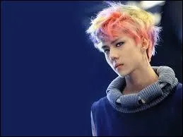 Qui ne s'est jamais color les cheveux dans Exo ?