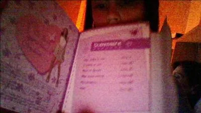 Y a-t-il un sommaire ?