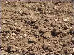 En toute fin de cet pisode, on peut voir une personne se faire enterrer, qui est-ce ?