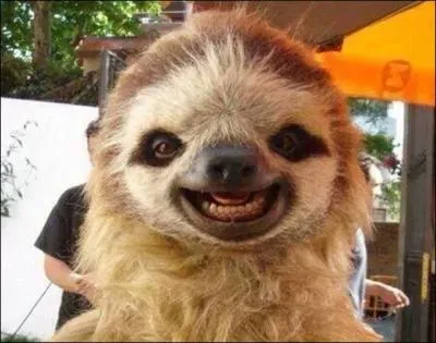 En gnral, je ne m'en fais pas, pourquoi faire aujourd'hui ce que je peux faire demain ? C'est d'ailleurs pour a que l'on m'appelle ...