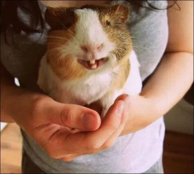 Mon nom est devenu synonyme d'exprience, c'est le genre de truc qui ne me fait pas rire du tout !