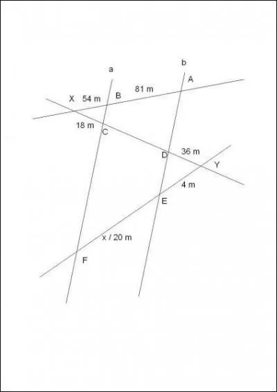 Calcule x dans cette situation en sachant que a // b :