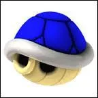 C'est un nouvel item de "New Super Mario Bros DS".