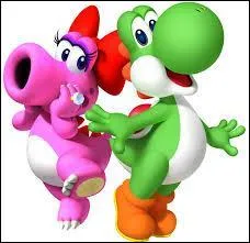 Yoshi et Birdo sont amoureux.