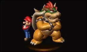 Bowser a-t-il fait équipe avec Mario ?