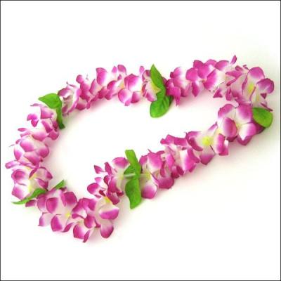 O peut-on voir un collier Hawaen ?