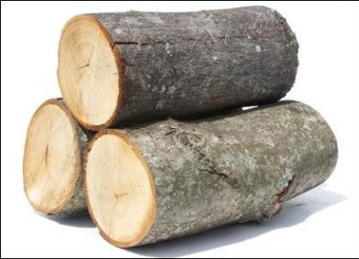 A quel dessin anim de font penser ces bches en bois ?