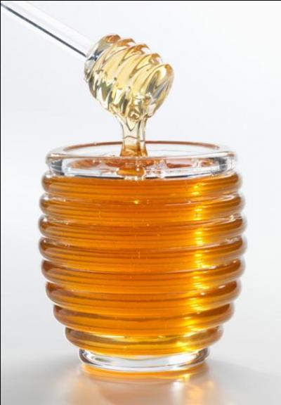 Le hros de ce dessin anim raffole du miel :