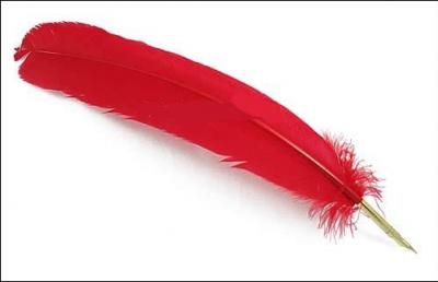 Selon toi,  qui appartient cette plume rouge ?