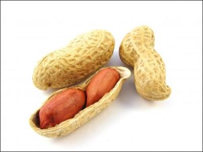 Dans quel dessin anim voit-on des cacahutes ?