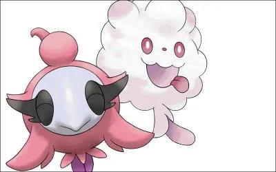 Qui sont ces deux Pokmon ?