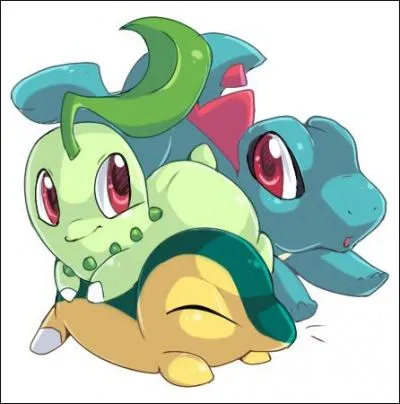 Quel est le point commun de ces petits Pokmon ?