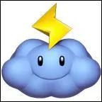 Peut-on trouver cet objet dans New Super Mario Bros. Wii ?