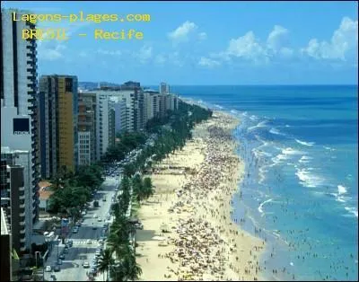 L'Arena Pernambuco, inaugur le 22 mai 2013, accueillera les quipes de Cte d'Ivoire et du Japon. Ce stade est construit dans 'la Venise brsilienne' situe au nord-est du Brsil. Quelle est cette mgalopole de 3, 7 millions d'habitants borde par l'ocan Atlantique ?