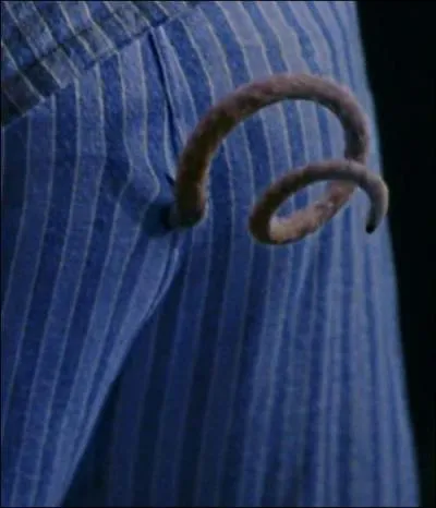 Le groupe Pink Floyd a sorti un album pour nos 30 millions d'amis :  Animals . Un des singles convient parfaitement pour notre cher Dudley. Lequel ?