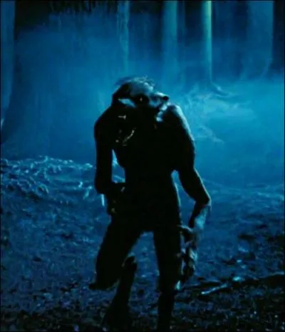 Ils chantent  Hungry Like the Wolf  en 1982 :