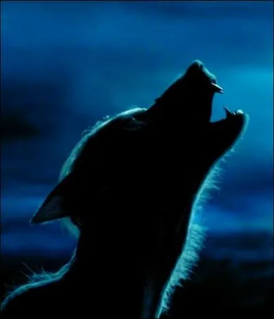 Une autre chanson pour Lupin :  Bark at the Moon , interprte par l'ancien leader des Black Sabbath...