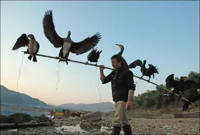 Si vous donnez un poisson  un pauvre, il mangera un jour, si vous lui apprenez  pcher, il mangera tous les jours !