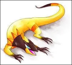 Et quel(s) est(sont) son(ses) type(s) ?