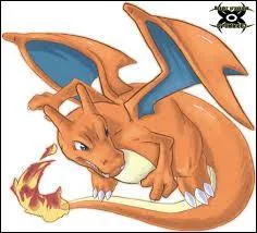 Et quel(s) est(sont) son(ses) type(s) ?