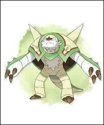 Et quel(s) est(sont) son(ses) type(s) ?